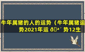 牛年属猪的人的运势（牛年属猪运势2021年运 🪴 势12生 🦉 肖）